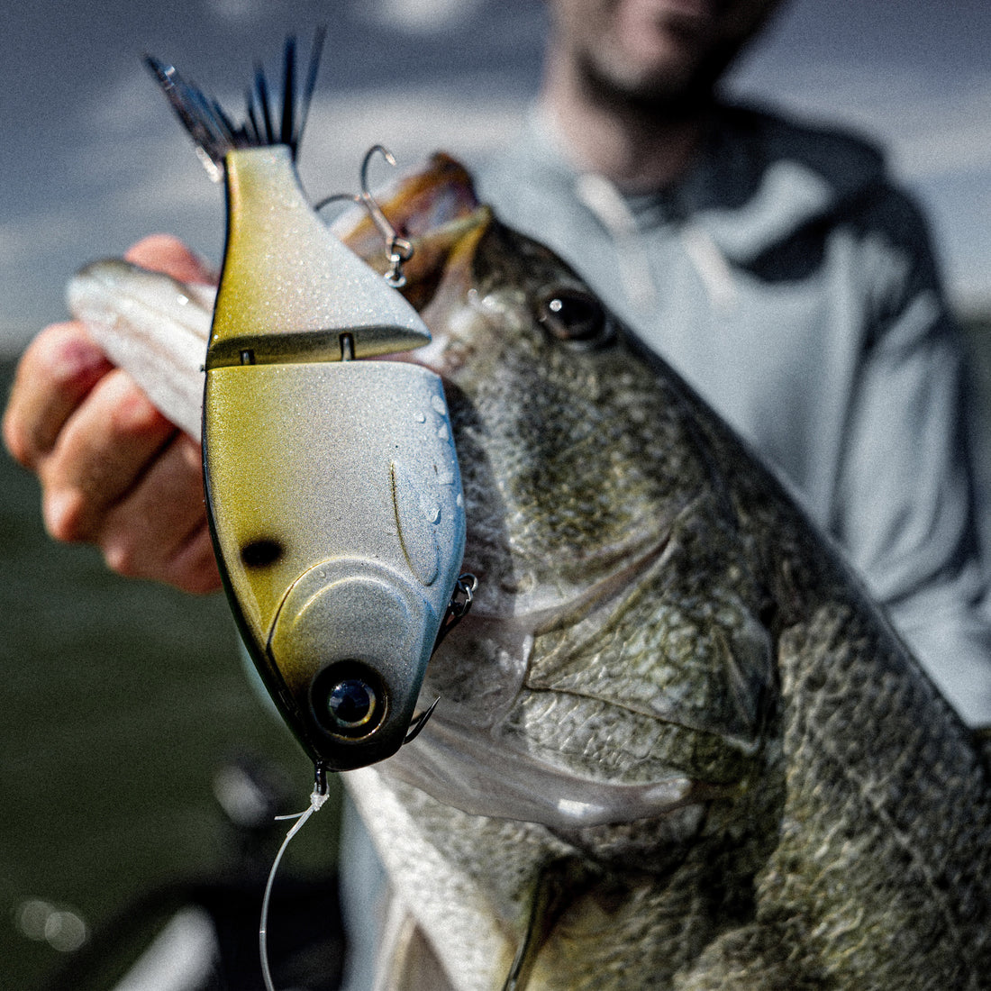 Advanced Glide Bait Fishing - The Biggest Tip We Can Give