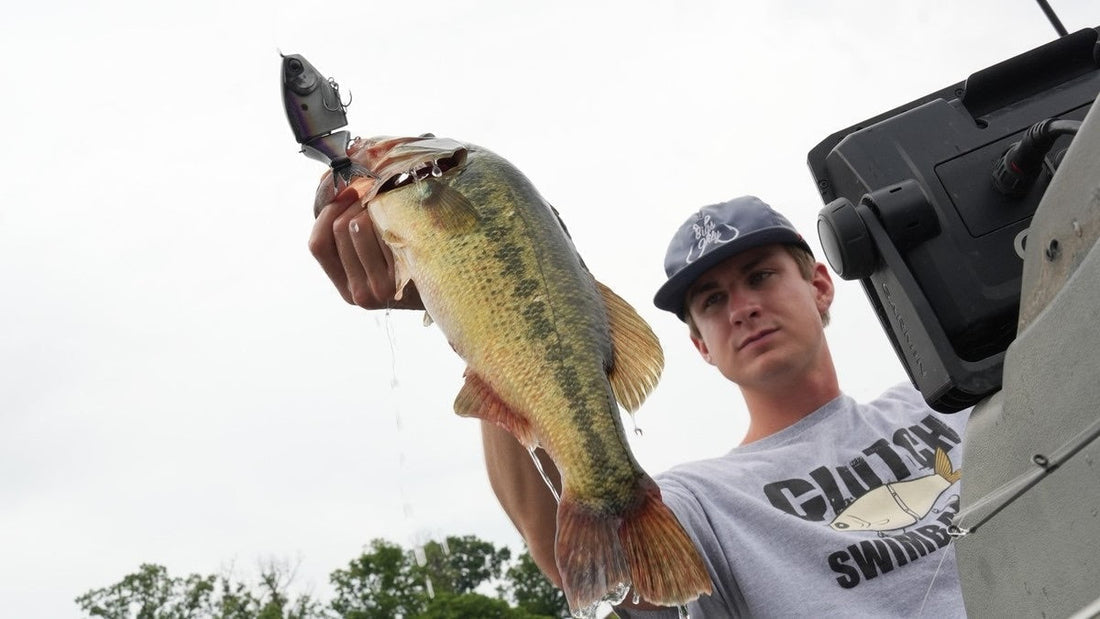 Swimbaits A-Z: The ultimate starter guide to throwing big swimbaits