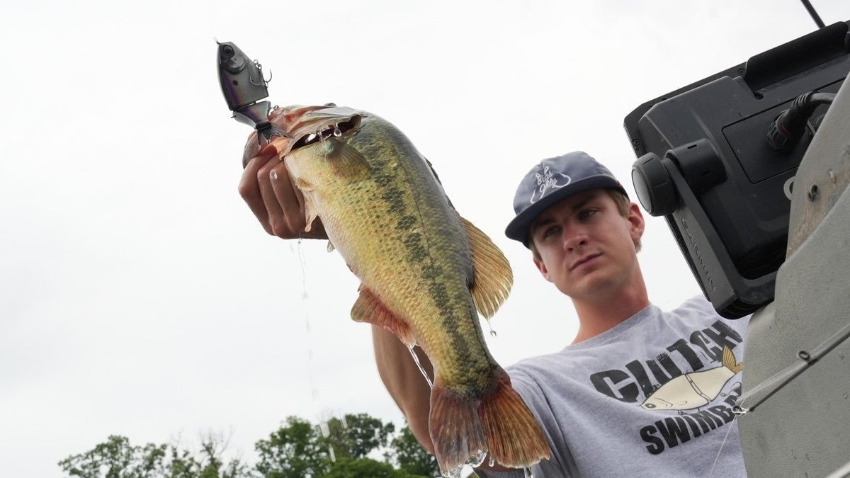 Swimbaits A-Z: The ultimate starter guide to throwing big swimbaits