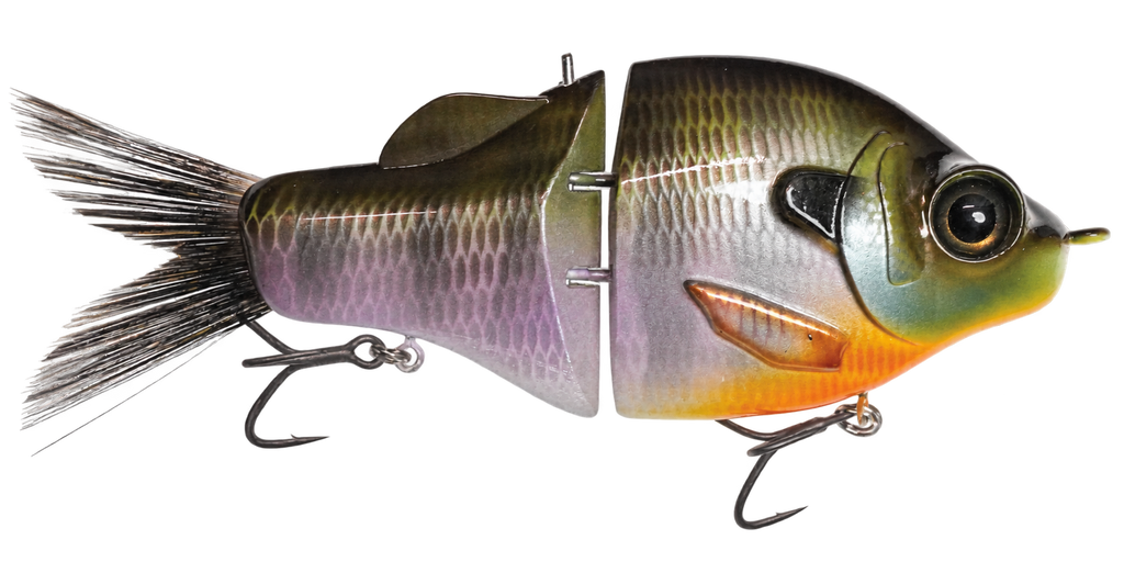Gill