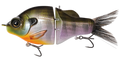 Gill