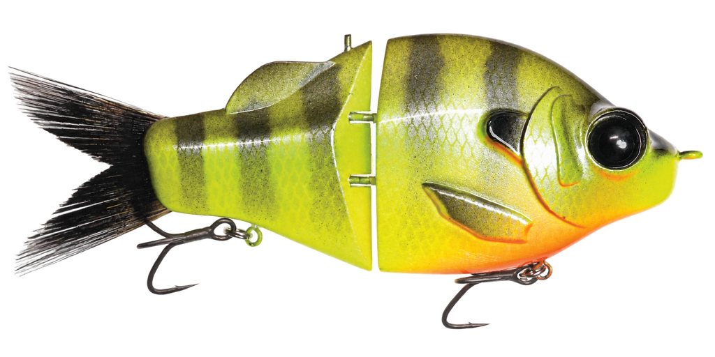 Gill