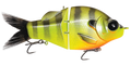 Gill