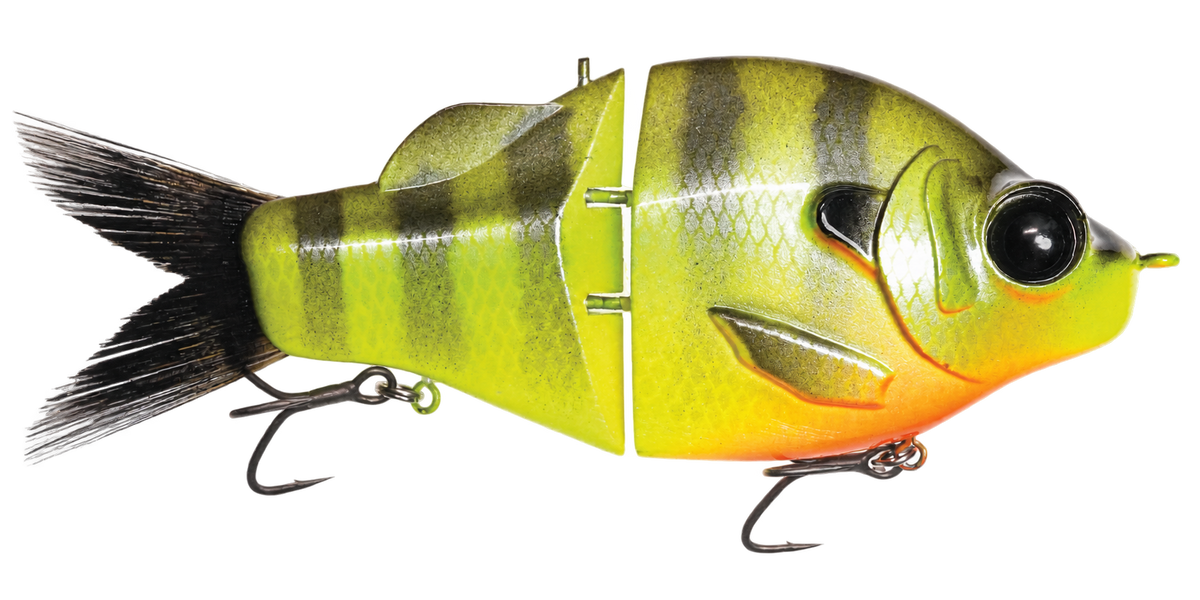Gill