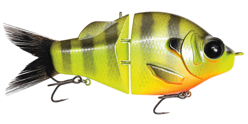 Gill