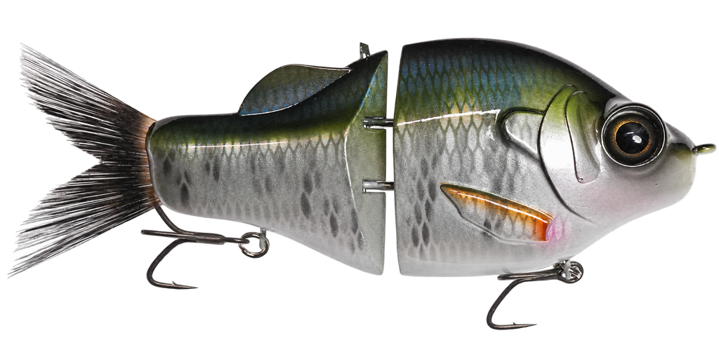 Gill