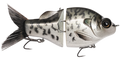 Gill