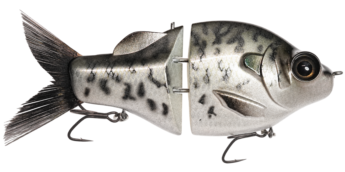 Gill