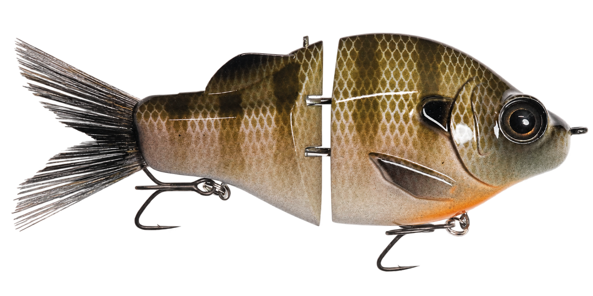 Gill