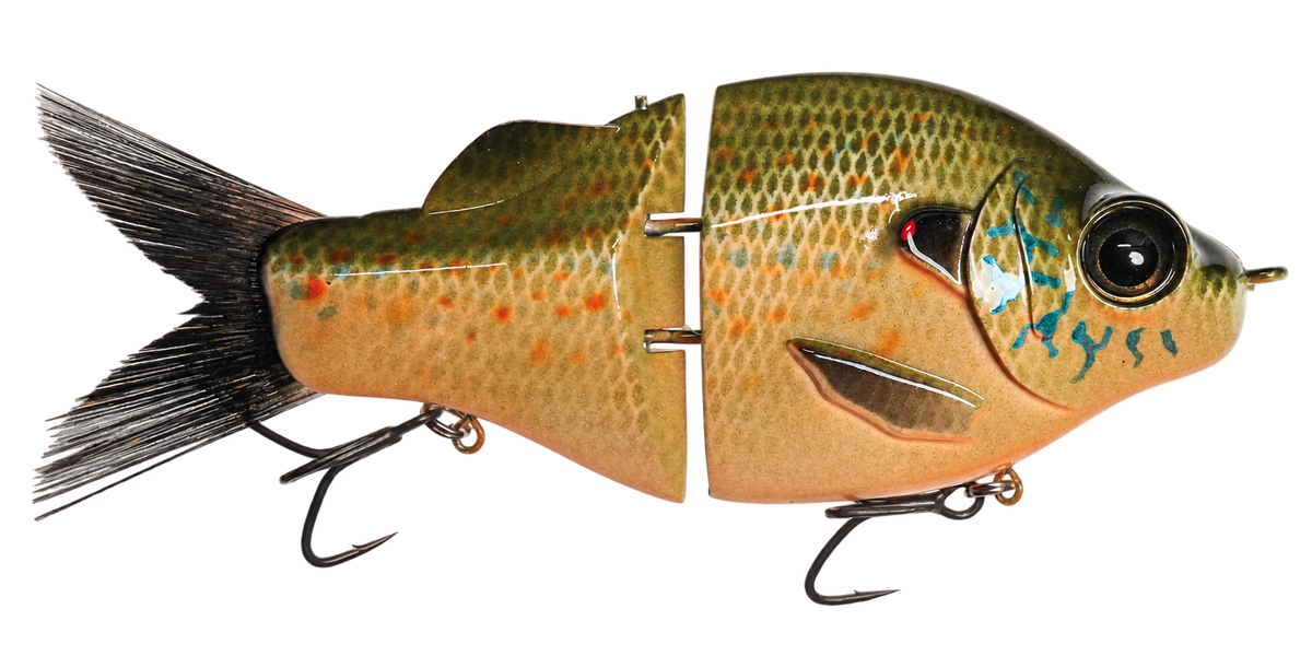 Gill