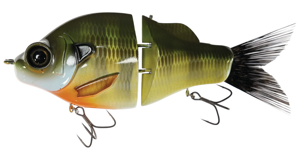 Gill