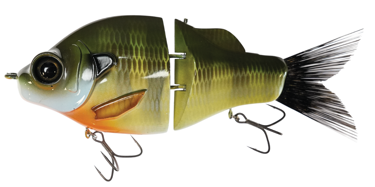 Gill