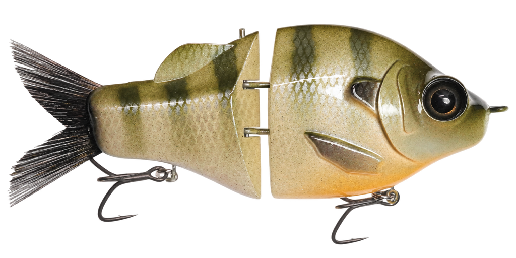 Gill