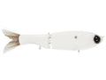 Darter