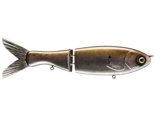 Darter