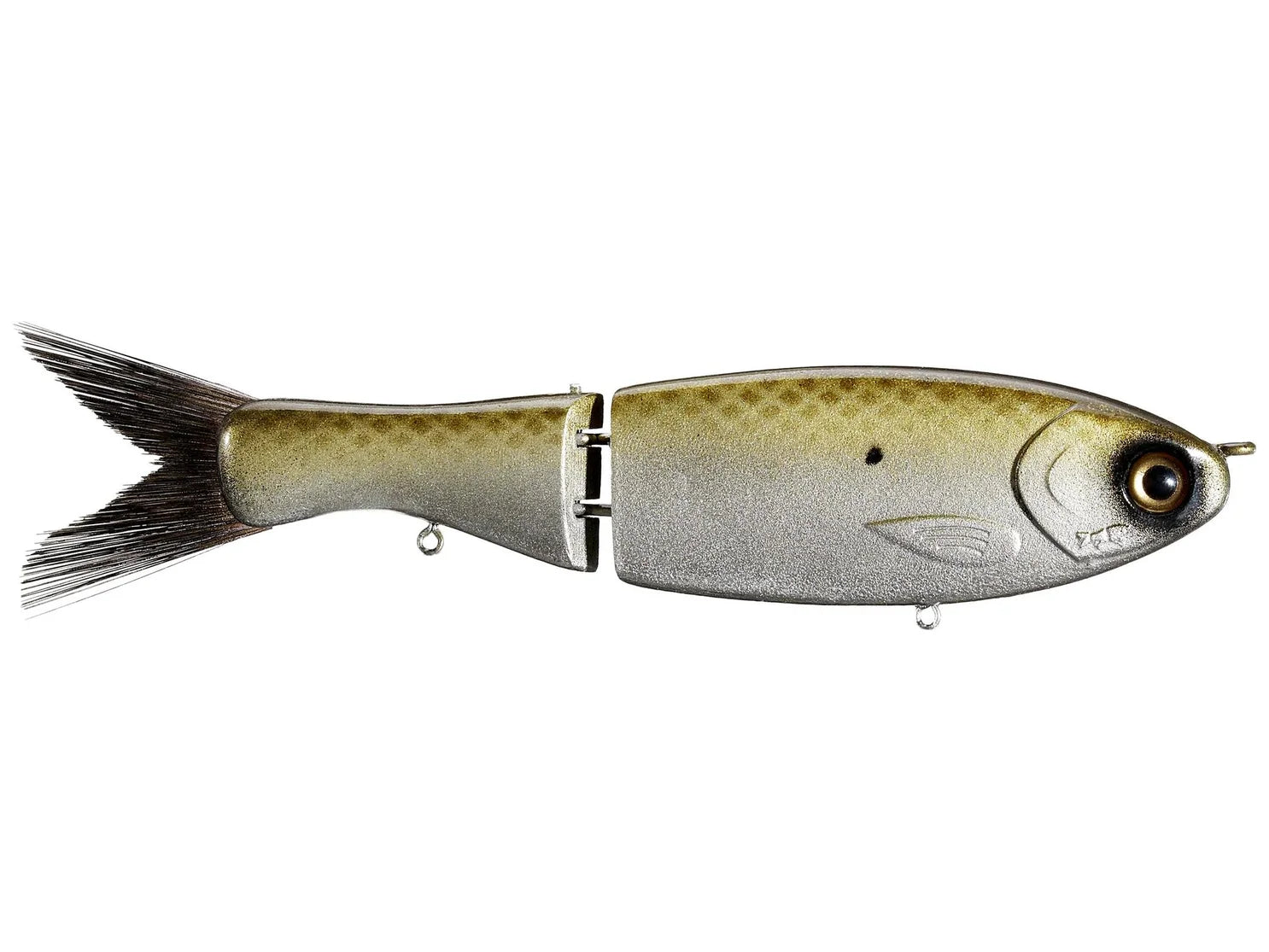 Darter