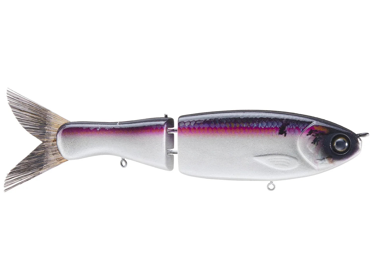 Darter