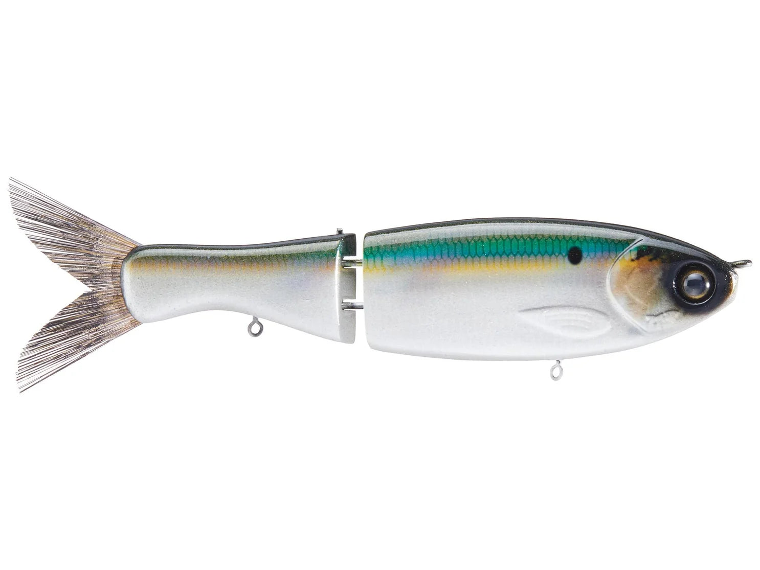 Darter