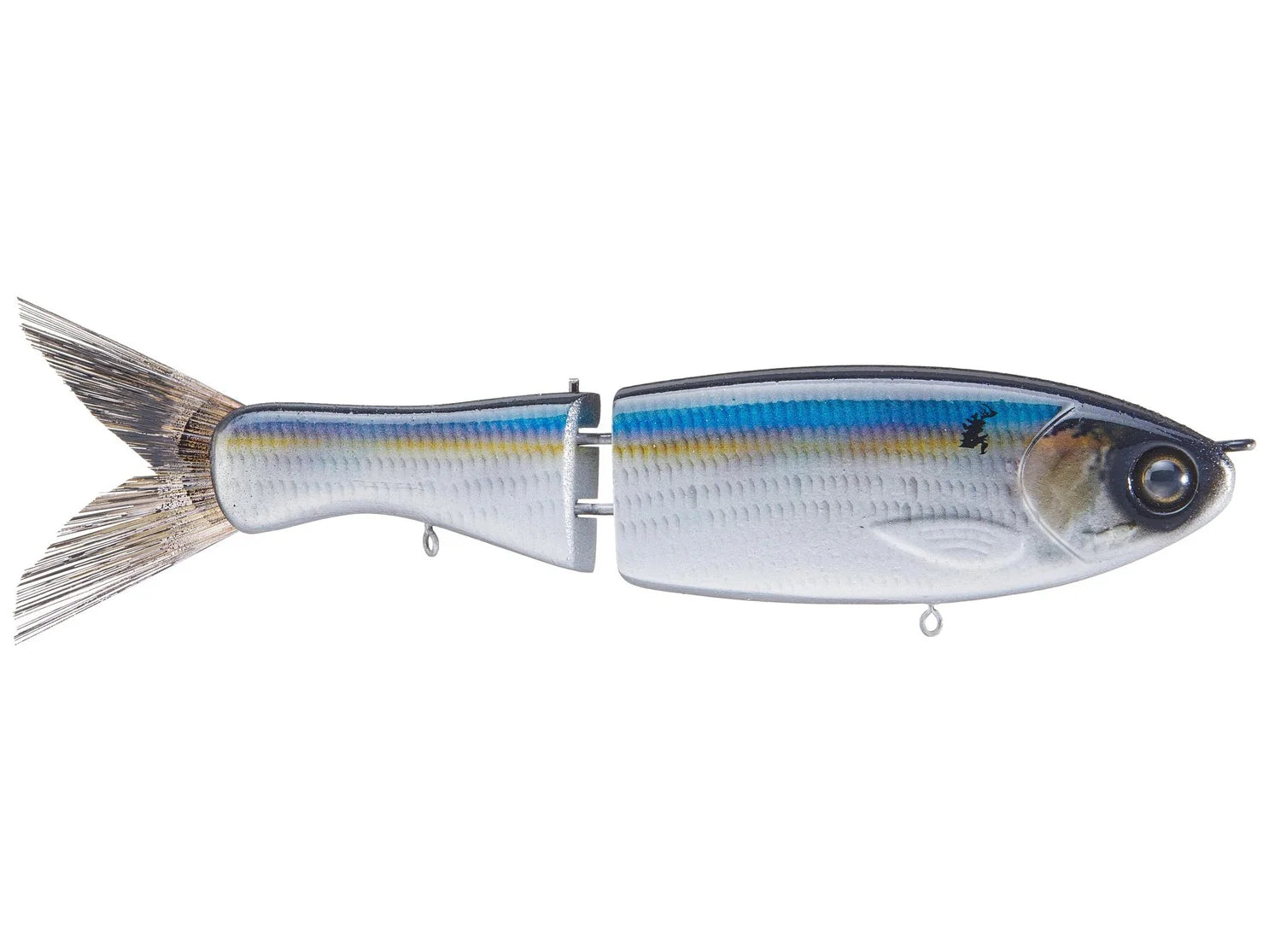 Darter