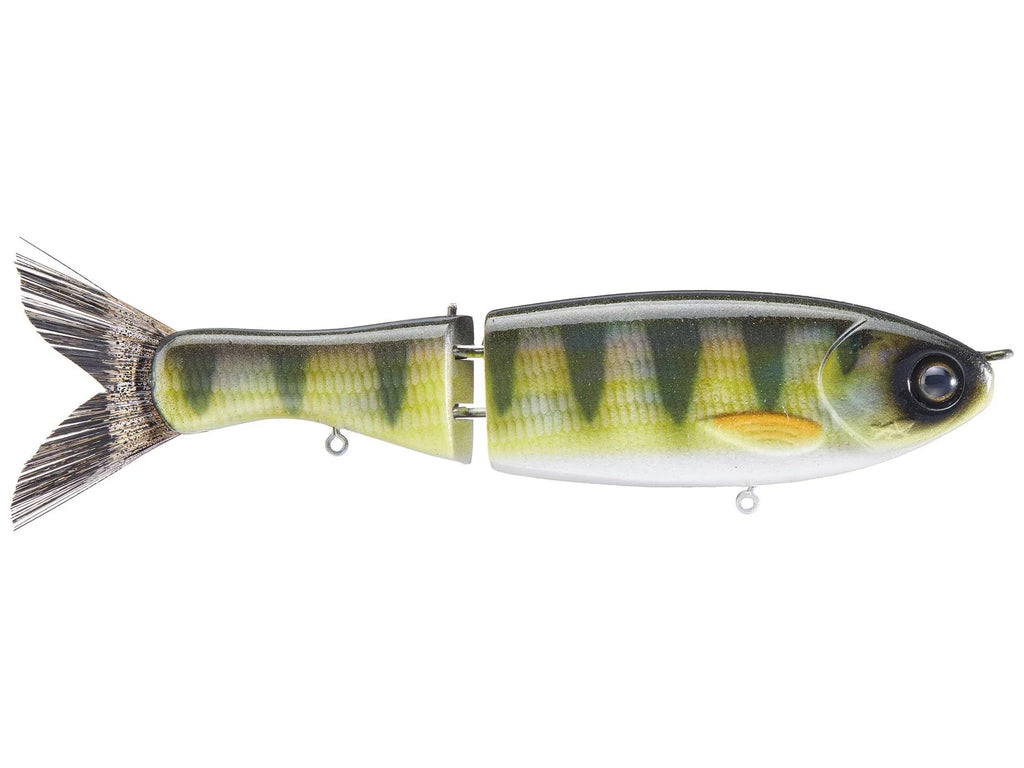 Darter